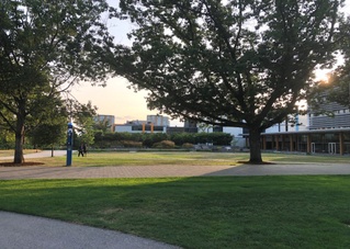 2019年暑期英属哥伦比亚大学VSP项目交流总结