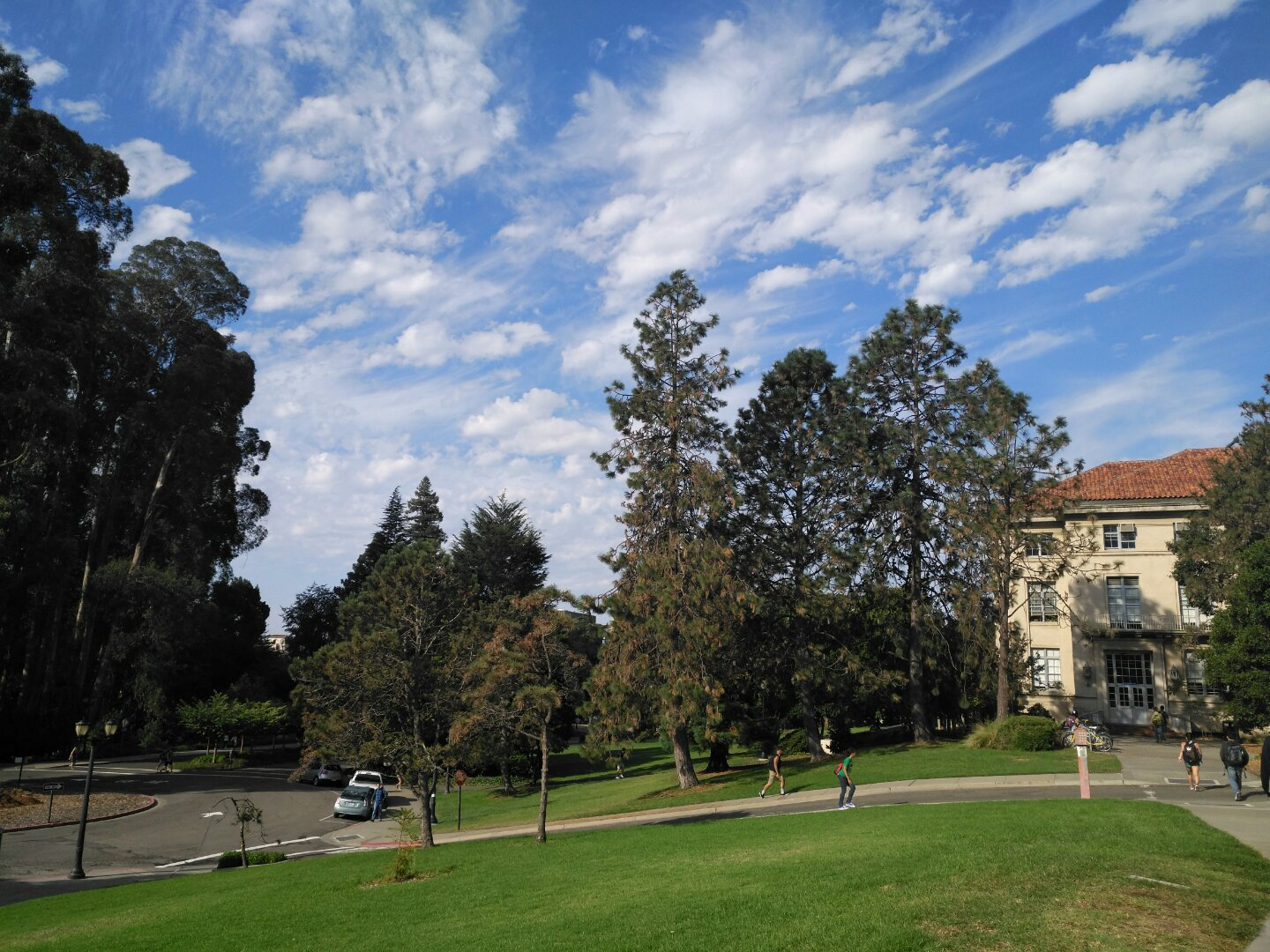 UC Berkeley交流总结