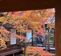 早稻田大学交流小结