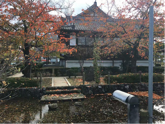 奈良女子大学交流总结