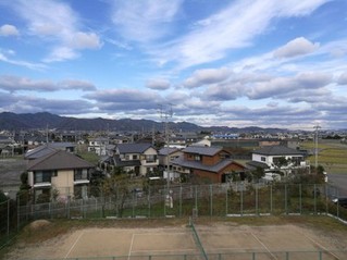 德岛大学交流总结