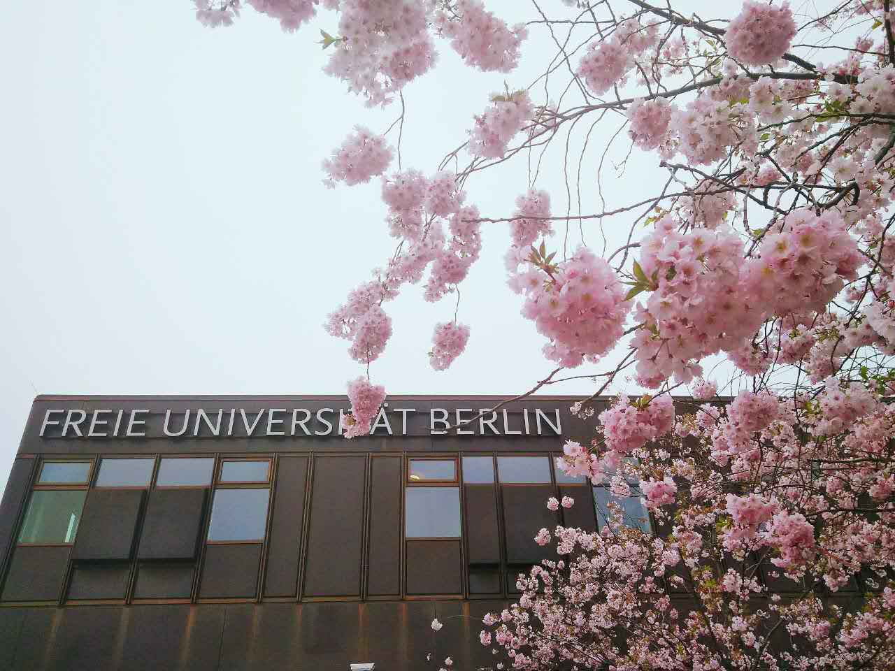 柏林自由大学交流总结