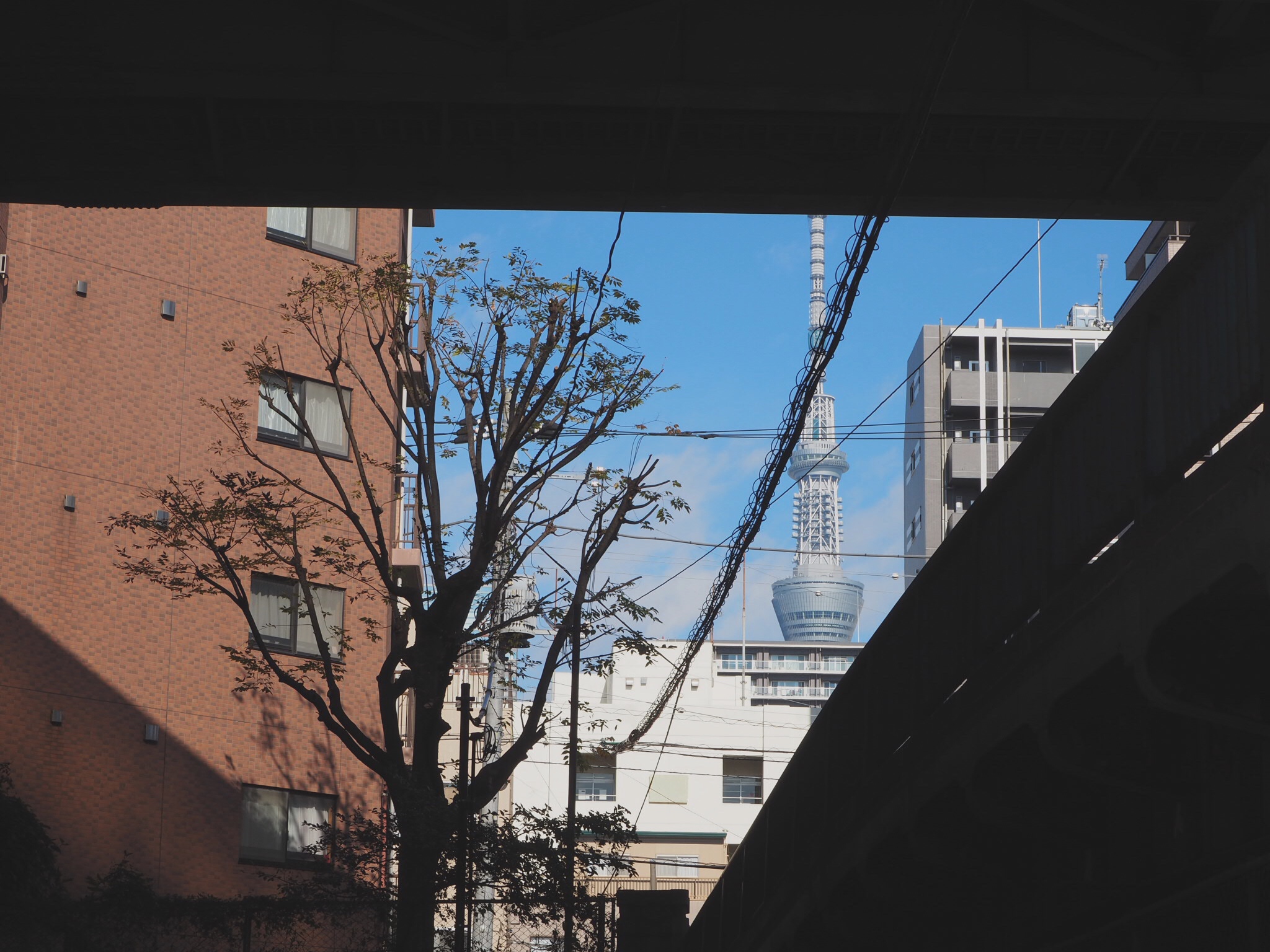 东京一周行交流总结