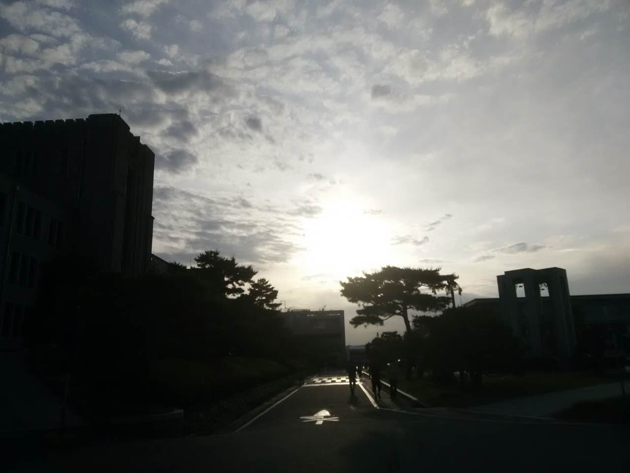 韩国东国大学交换总结