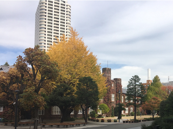 日本立教大学交流总结