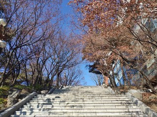 成均馆大学2020年寒假