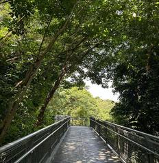 新加坡国立大学交流小结
