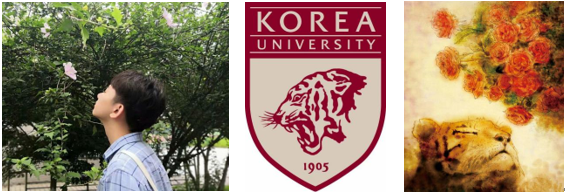 心踞太极虎，细嗅木槿花​​​​​—— 高丽大学交换札记