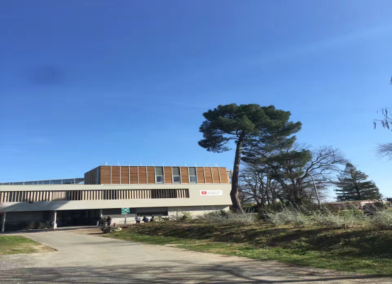法国波尔多政治学院交换心得