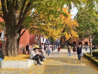 韩国国立首尔大学项目交流总结