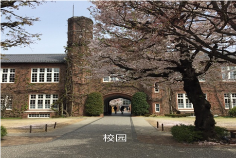 日本立教大学留学交流总结