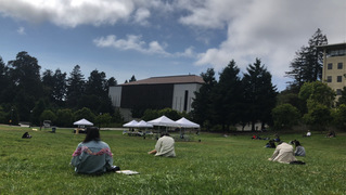 2019年暑期美国加州大学伯克利分校交换感想