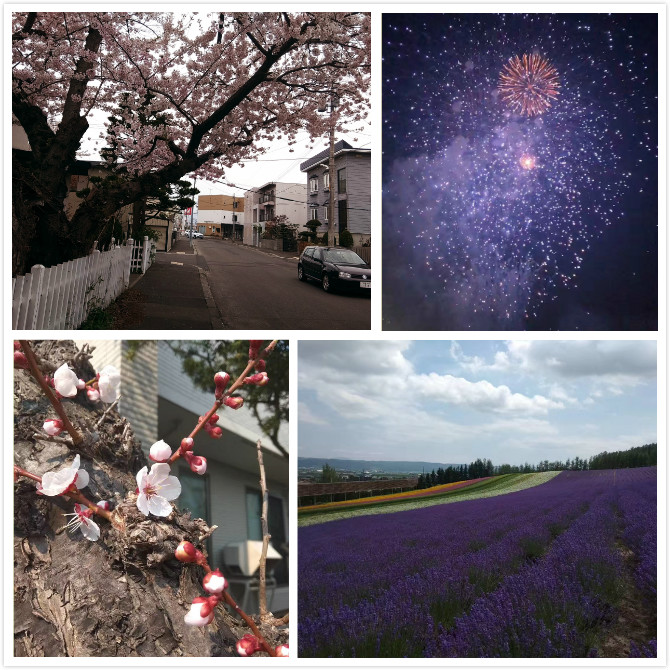2018上学年北海道大学交换总结