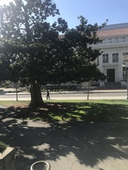 UCBerkeley2019年秋交流小结