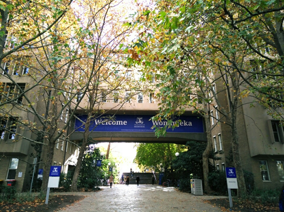 墨尔本大学交流总结