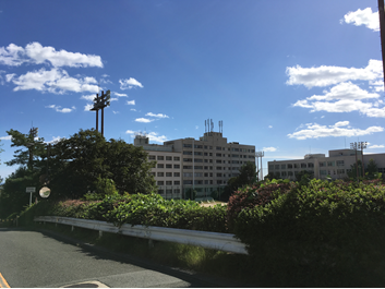 大阪大学iExPO项目交换感想