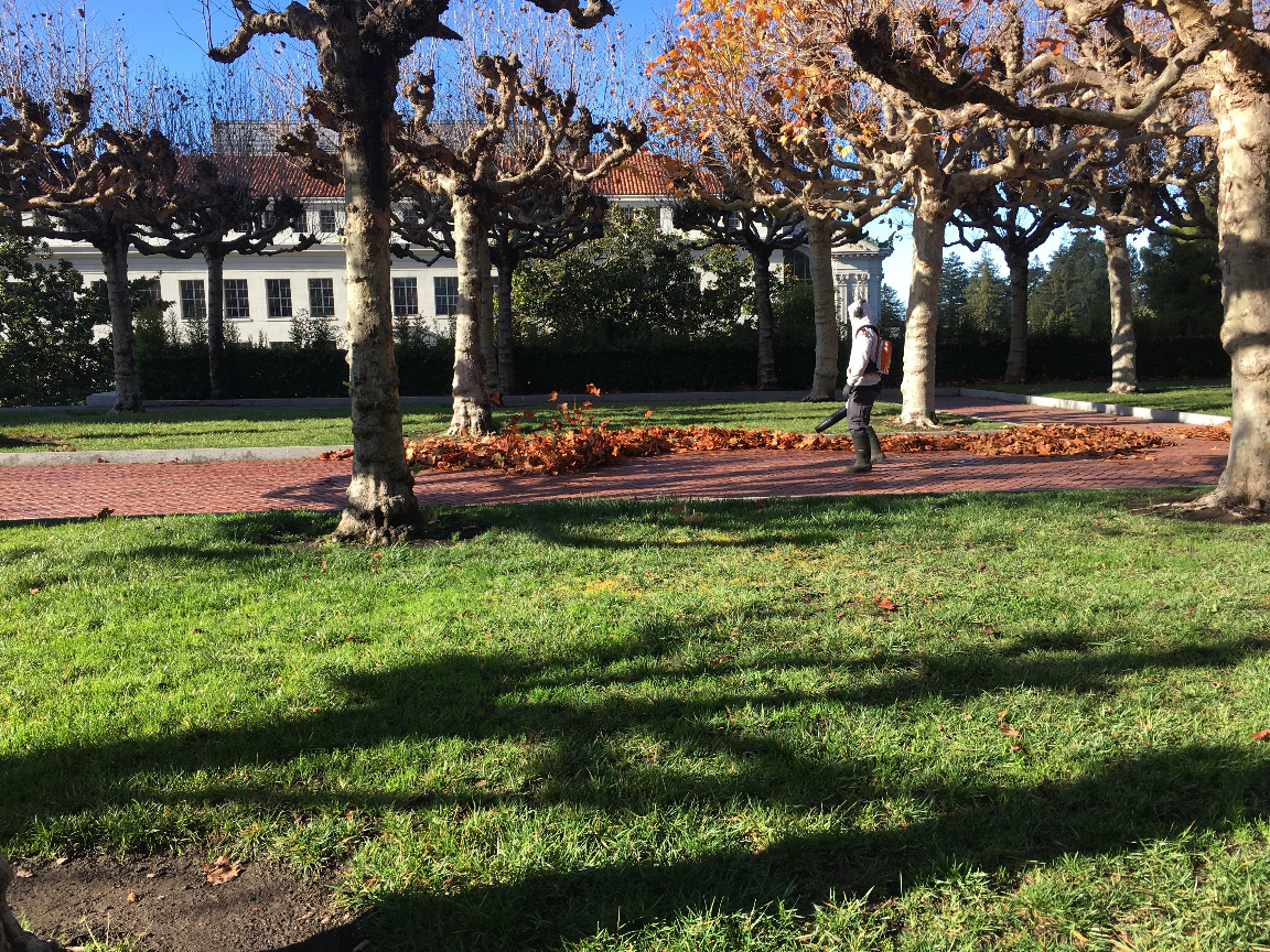 UC Berkeley出国交流总结