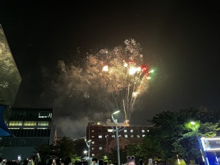 首尔国立大学交流总结